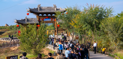 五指柏祈愿