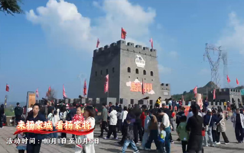 视频欣赏